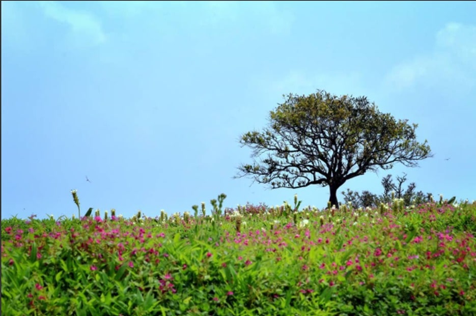 Kas Plateau - 2