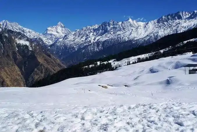 Auli, Dehradun